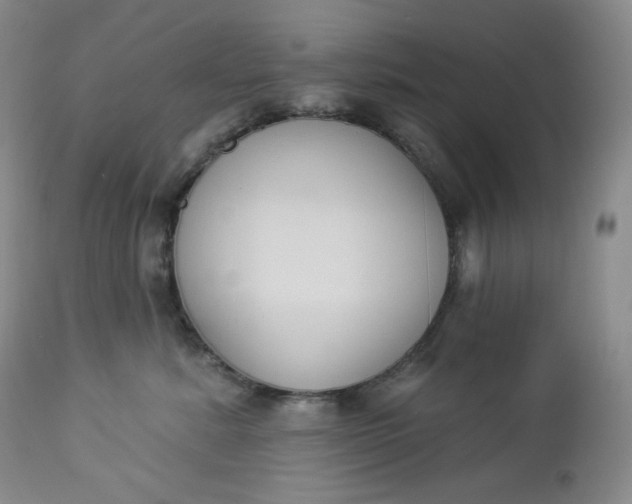 X0000112860619200909041555