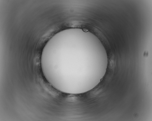X0000112860620200909041555