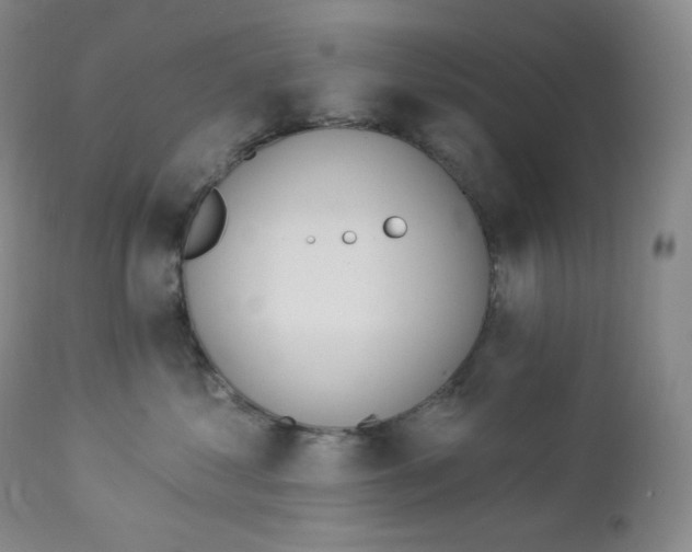 X0000112860621200909041555