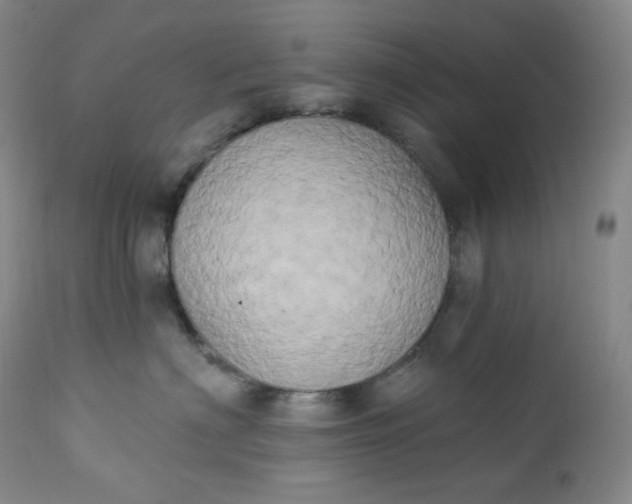 X0000112860622200909041555
