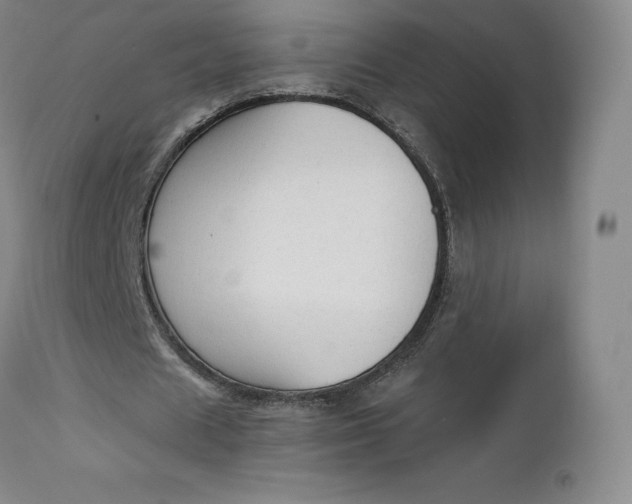 X0000112860625200909041554