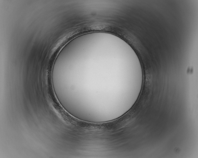 X0000112860626200909041554