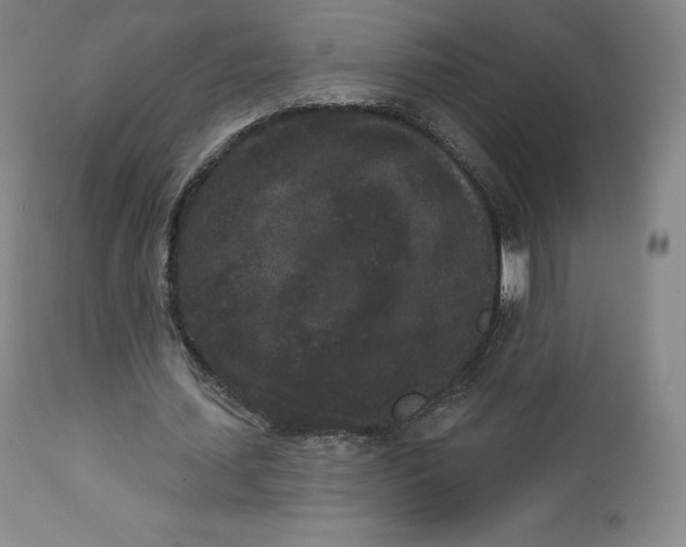 X0000112860627200909041554