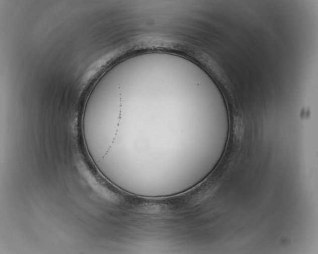 X0000112860629200909041554