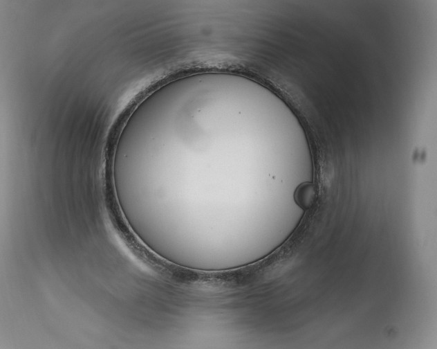 X0000112860630200909041554
