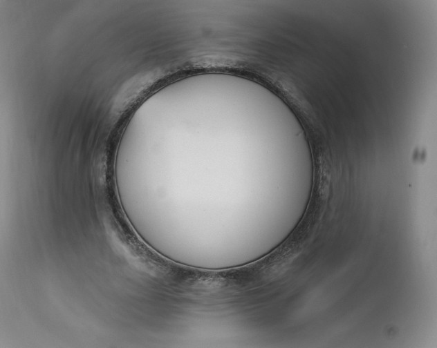 X0000112860631200909041554