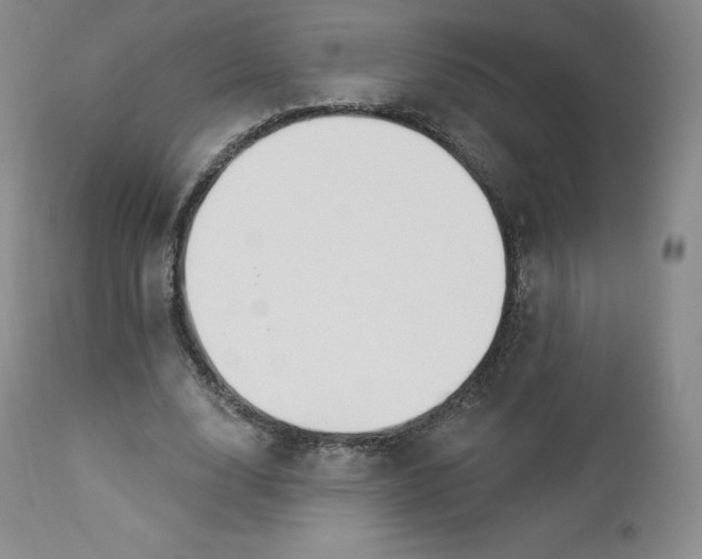X0000112860632200909041554