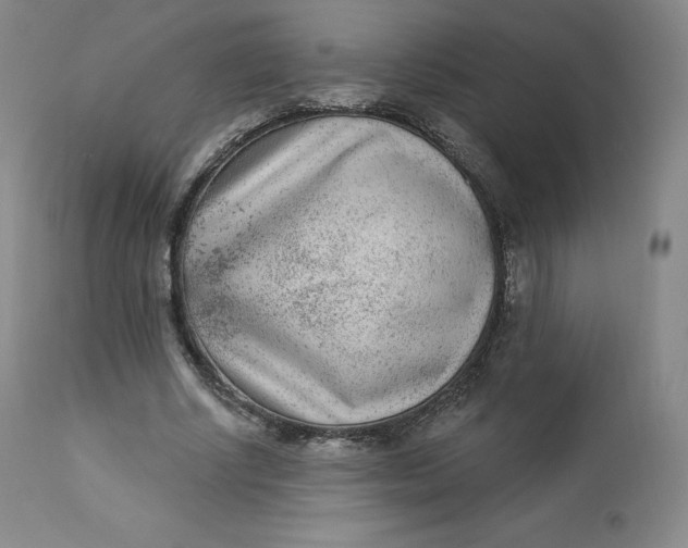 X0000112860634200909041554