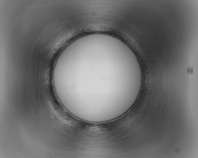 X0000112860635200909041554