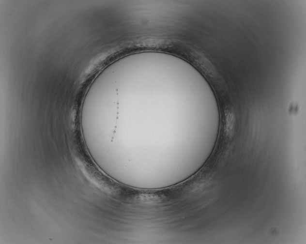 X0000112860636200909041554