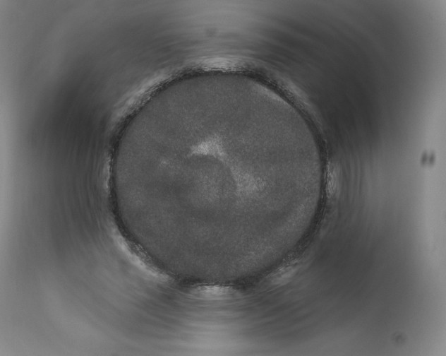 X0000112860637200909041554