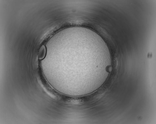 X0000112860638200909041554
