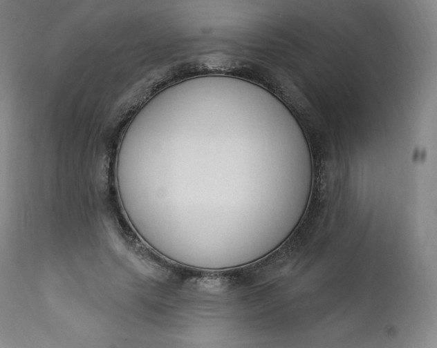 X0000112860639200909041554