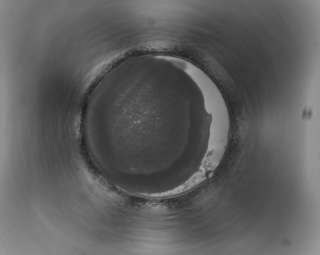 X0000112860640200909041554