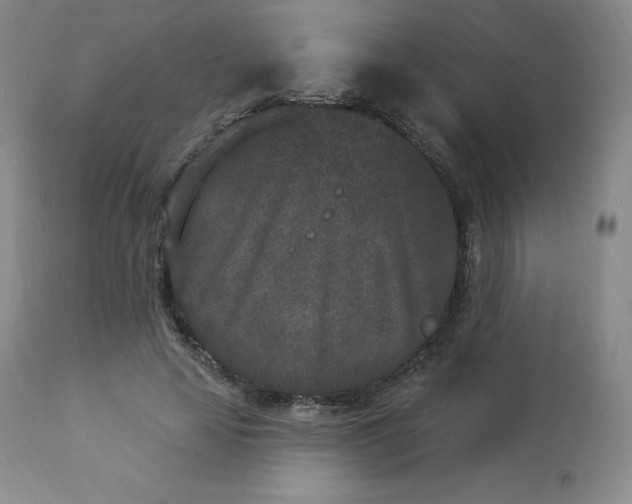 X0000112860641200909041554