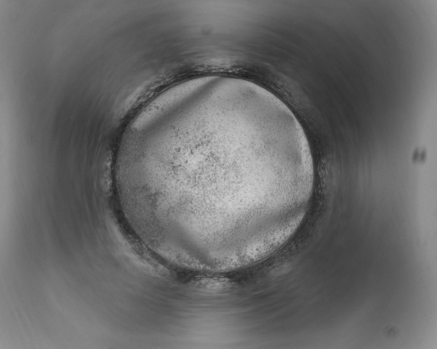 X0000112860642200909041554