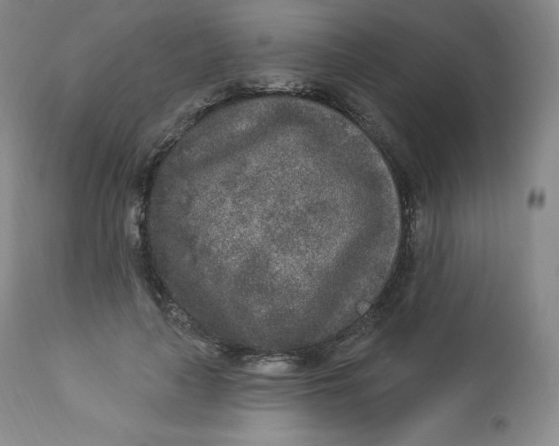 X0000112860643200909041554