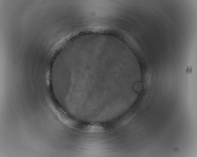 X0000112860644200909041554