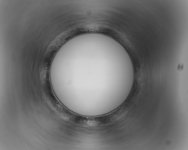 X0000112860645200909041554