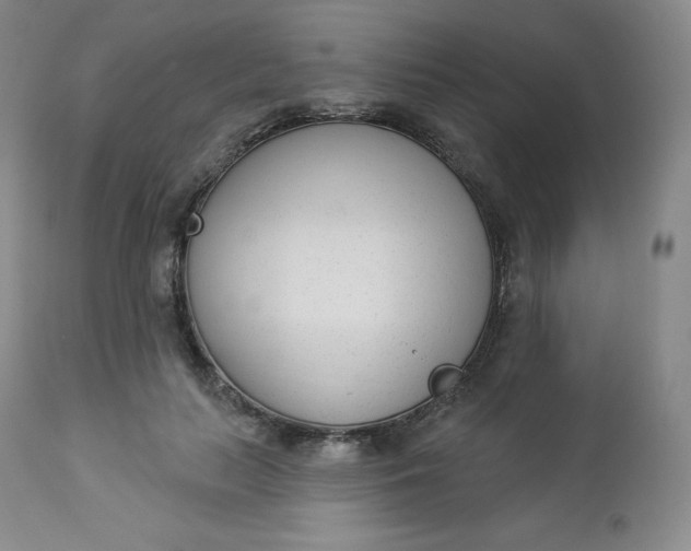X0000112860647200909041554