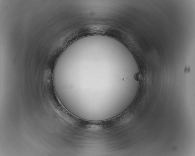X0000112860649200909041554
