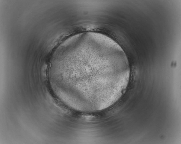 X0000112860650200909041554