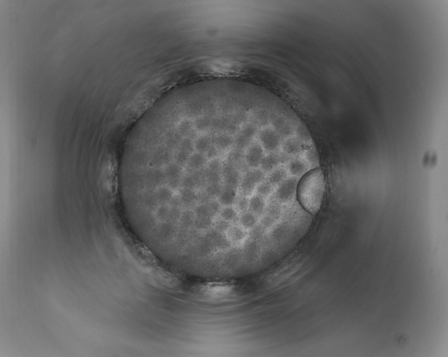 X0000112860651200909041554