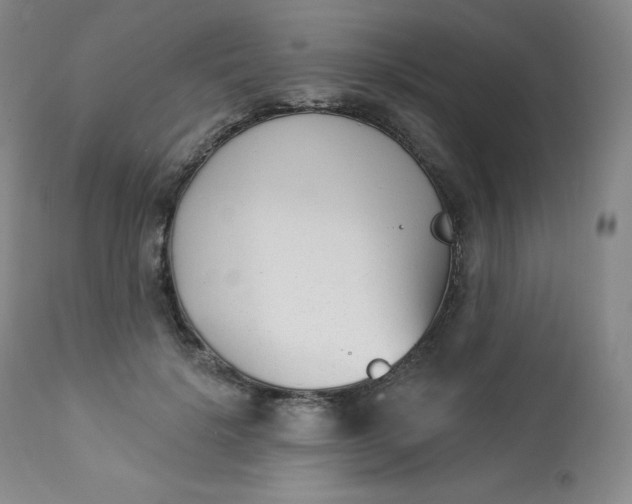 X0000112860652200909041554