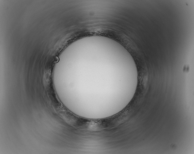X0000112860660200909041554