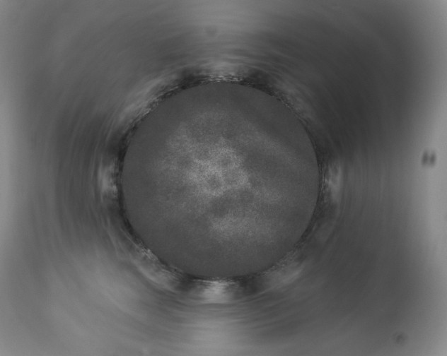 X0000112860663200909041555