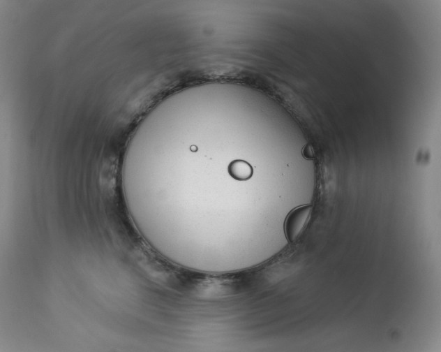 X0000112860664200909041555