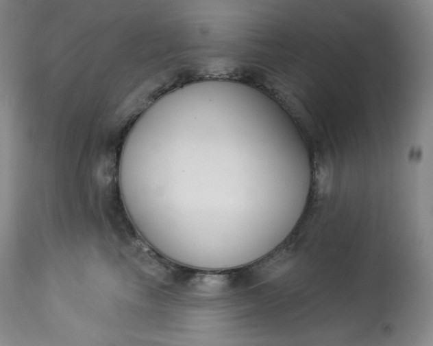 X0000112860665200909041555