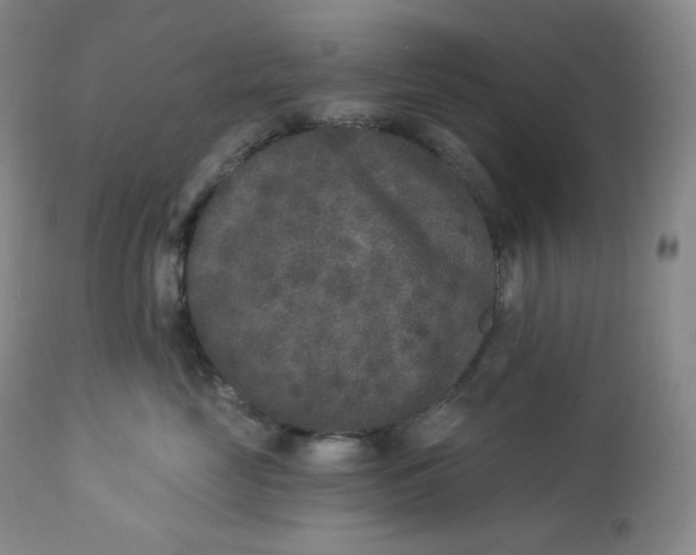 X0000112860669200909041555