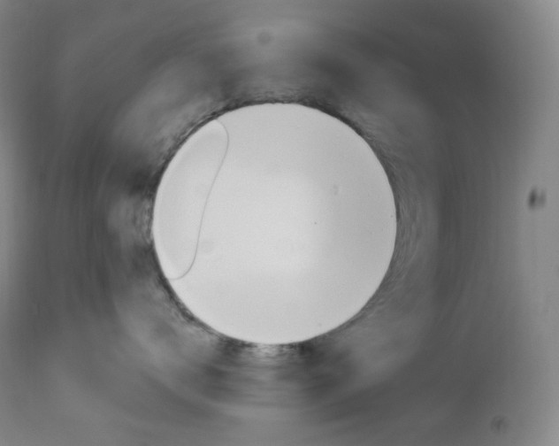 X0000112860672200909041555