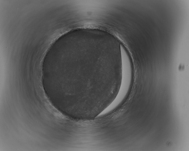 X0000112860673200909041554