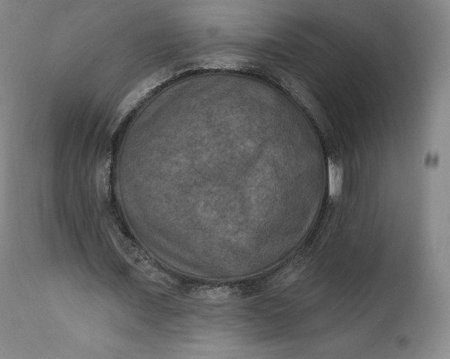 X0000112860675200909041554