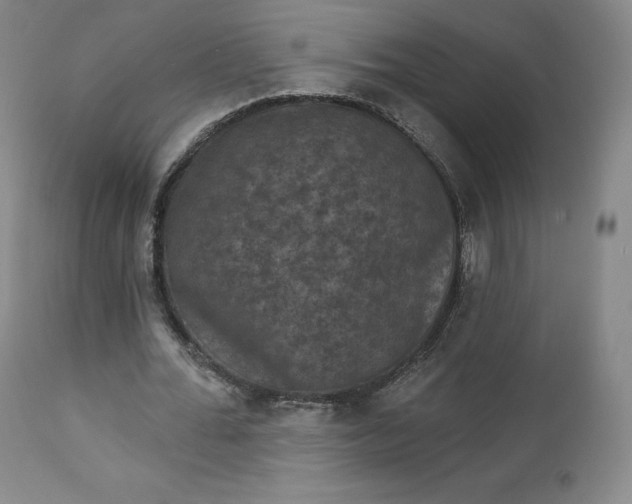 X0000112860676200909041554