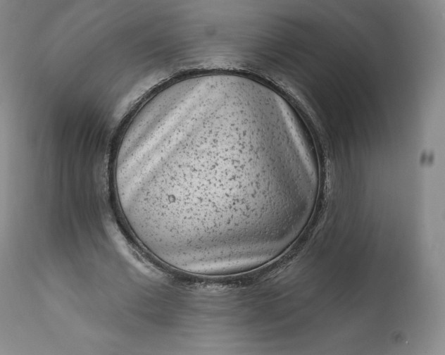 X0000112860677200909041554