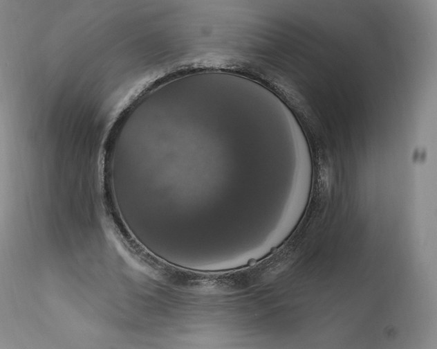 X0000112860678200909041554