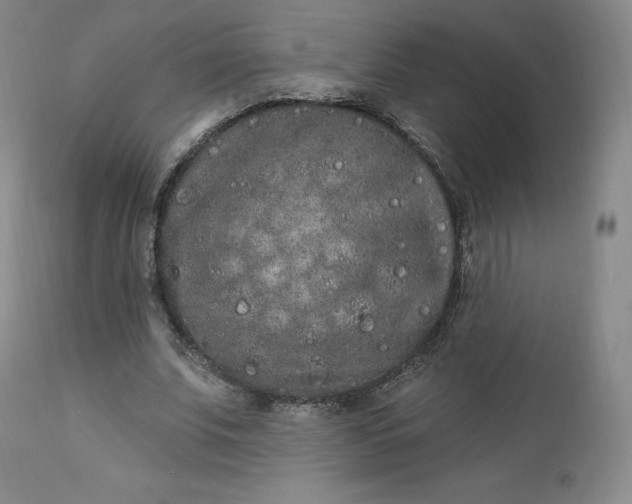 X0000112860679200909041554