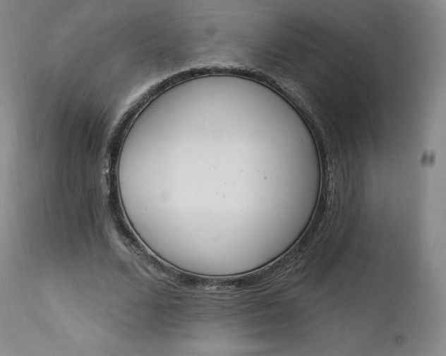 X0000112860680200909041554