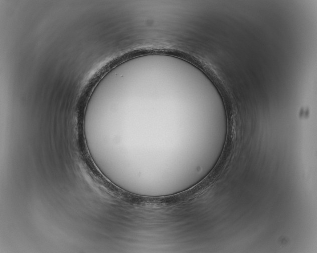 X0000112860684200909041554