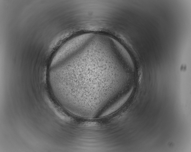 X0000112860685200909041554