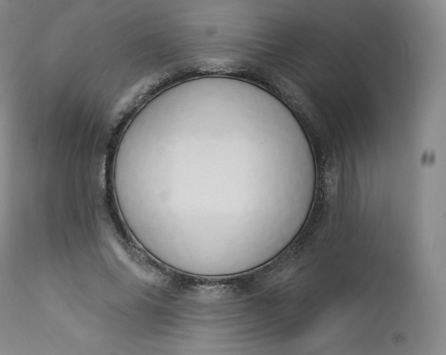 X0000112860686200909041554