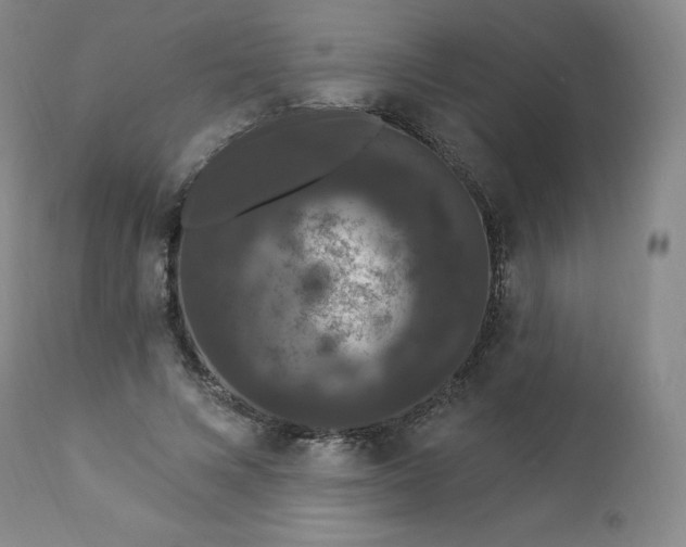 X0000112860688200909041554
