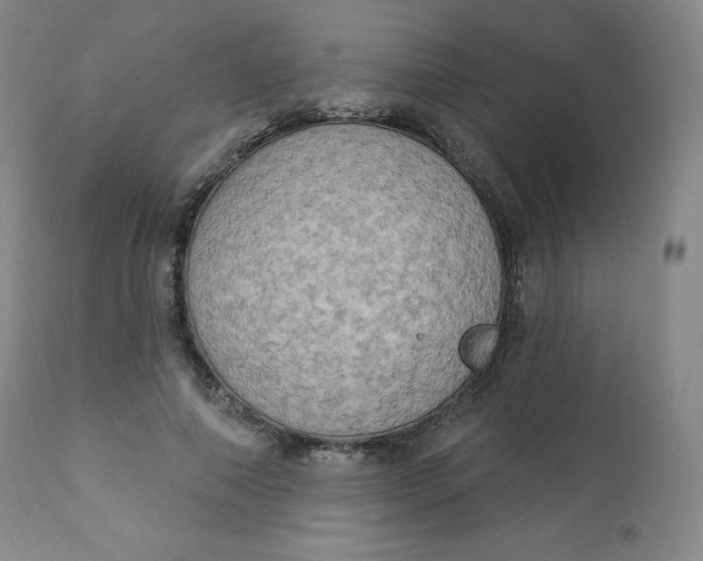 X0000112860690200909041554