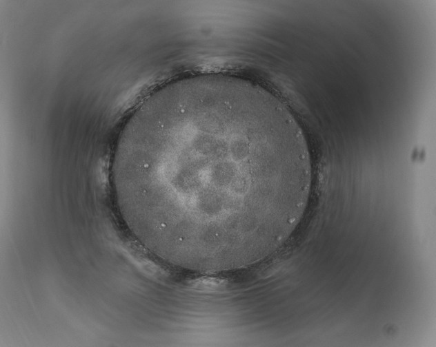 X0000112860691200909041554
