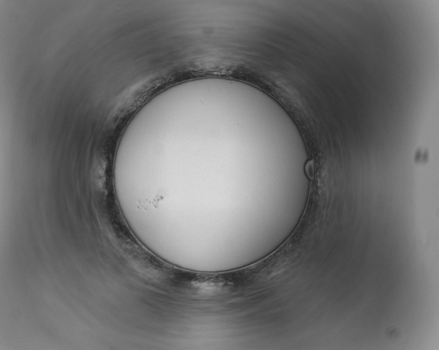 X0000112860693200909041554