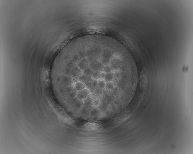 X0000112860699200909041553
