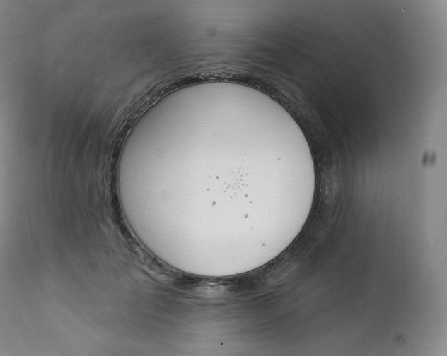 X0000112860701200909041553